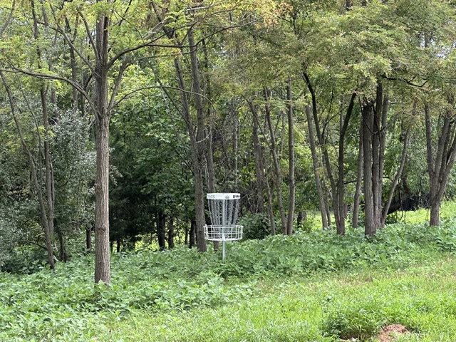 Frisbee Golf Course
